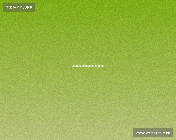 足球俱乐部转会资金投入规划与管理策略研究方案